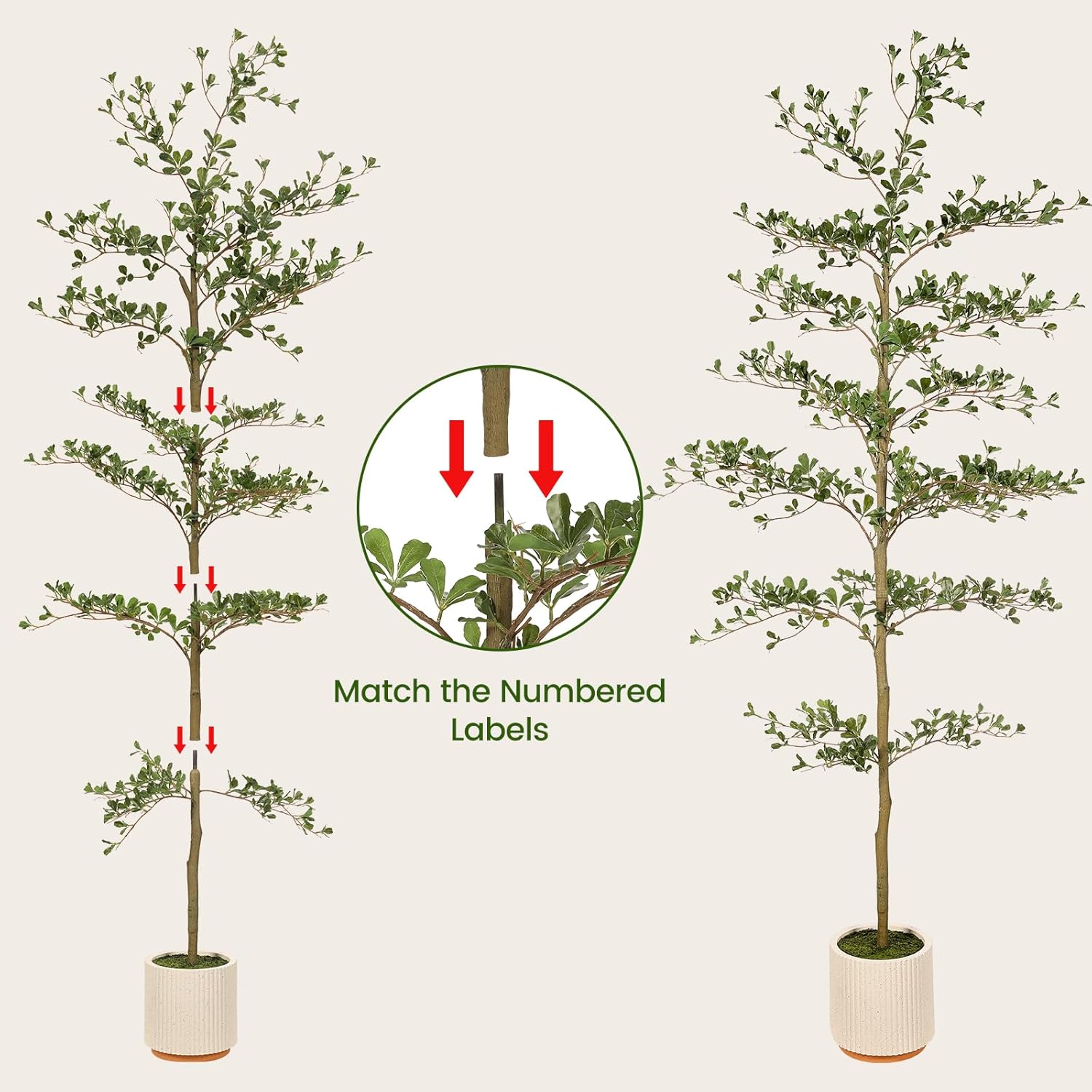 Faux Black Olive Tree 7ft - Realistic Artificial Shady Lady Tree 7 Feet with Pot Indoor Fake Black Olive Trees with Natural Branches and Realistic Leaves for Home Office Decor - Image 5