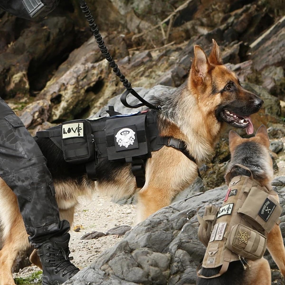 Arnés táctico para perro, resistente con 3 bolsas Molle y 1 correa elástica para perro