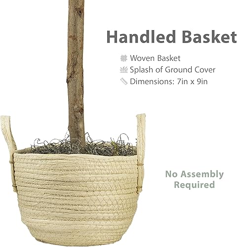 Miniatura 3 de Árbol de higuera artificial de hoja de violín de 3 pies en cesta tejida bohemia, tronco de madera real, premontado, planta sintética de interior sin