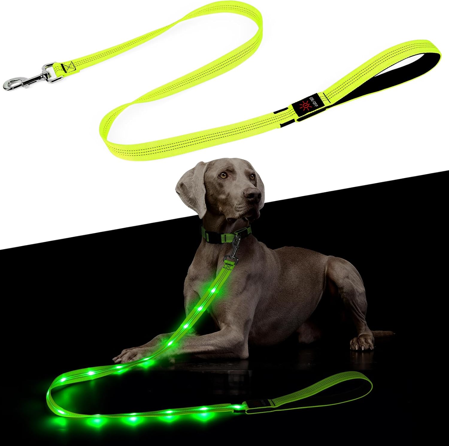 LED Leash