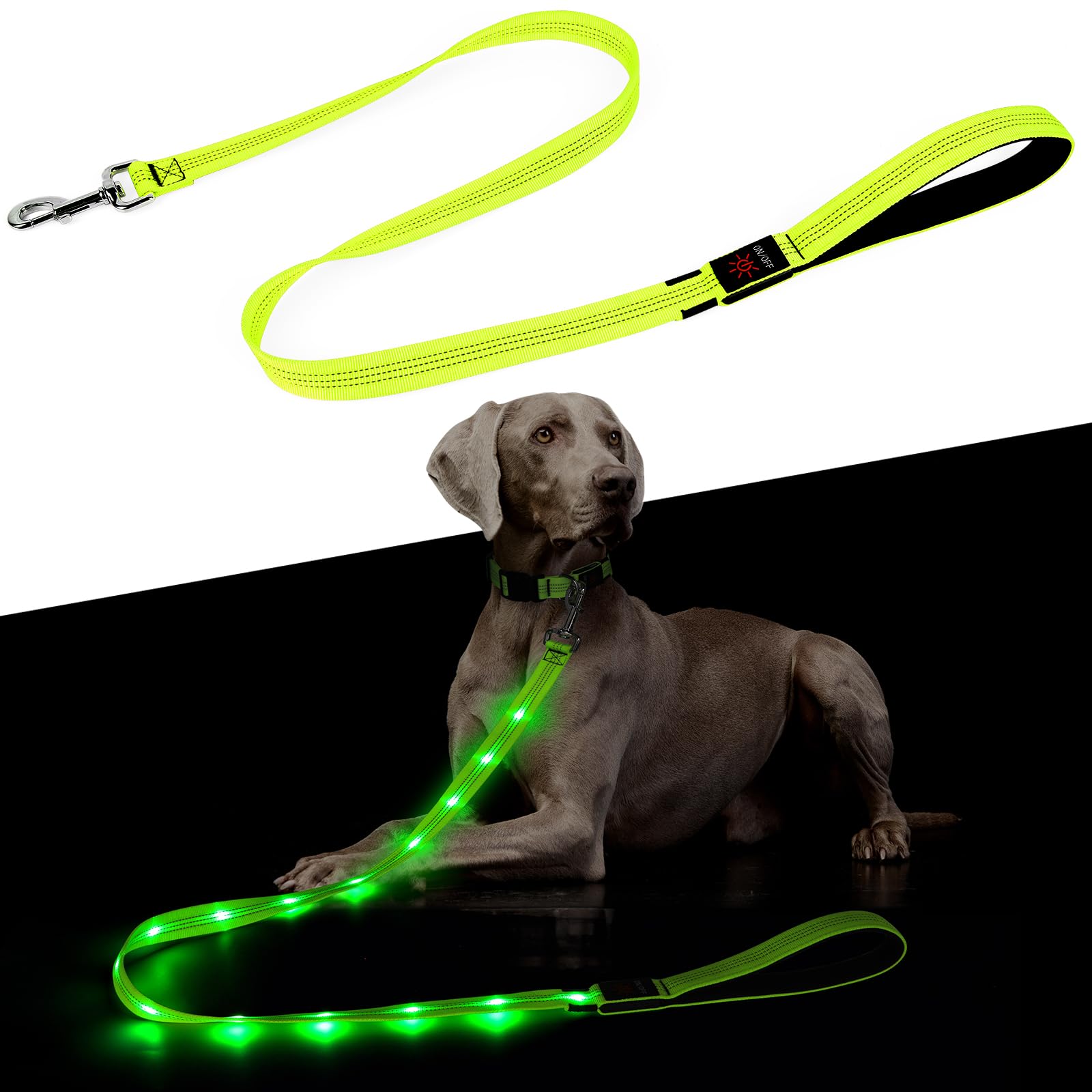 Light Up Dog Leash Dolitego
