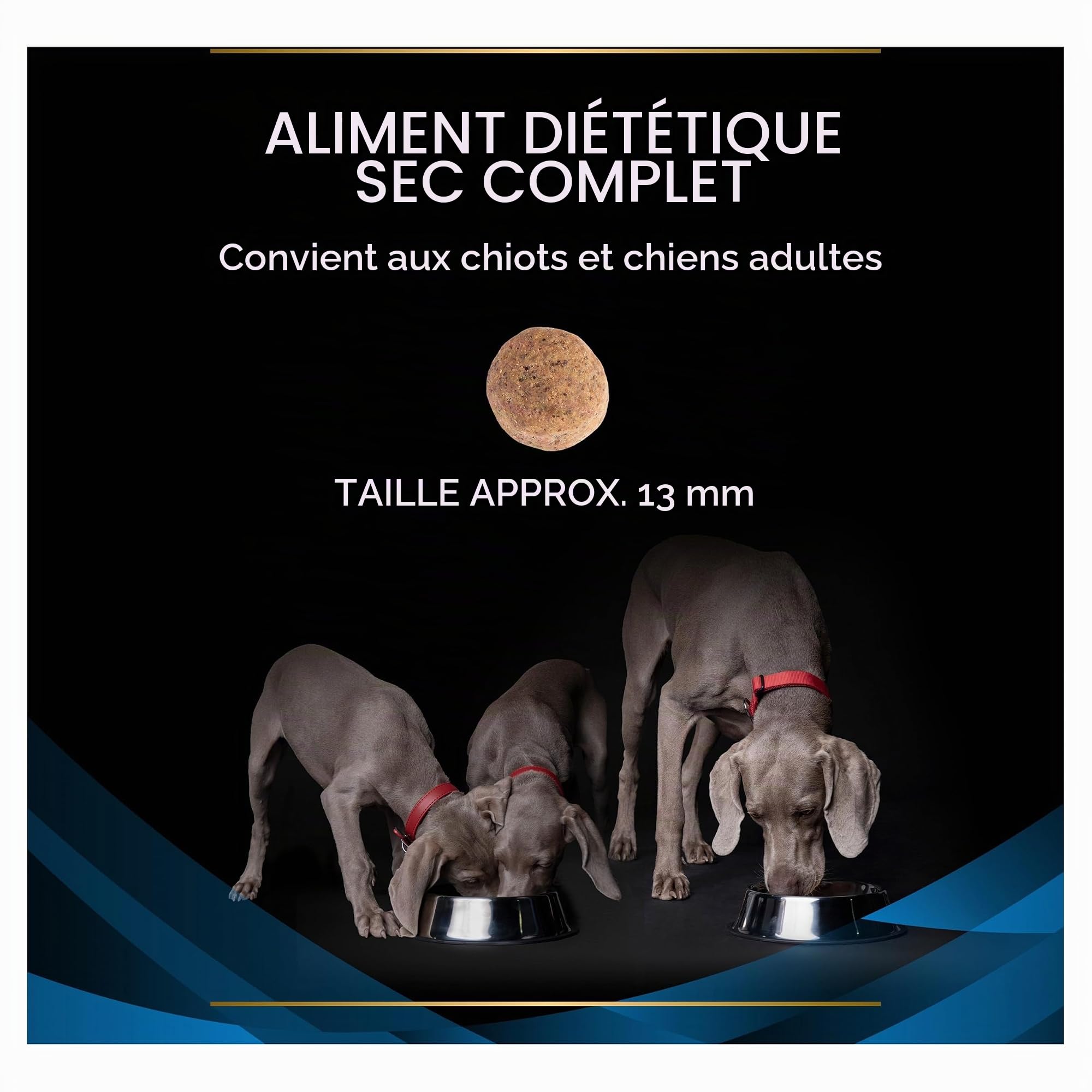 Pro Plan Veterinary Diets DRM Dermatose Croquettes pour Chien 12 kg