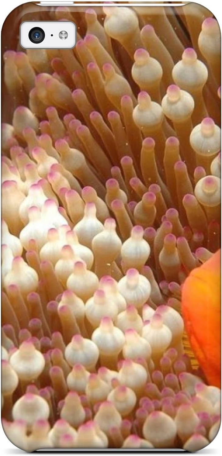 Pamela Sarich's Shop Hot Awesome Design Clownfish Great