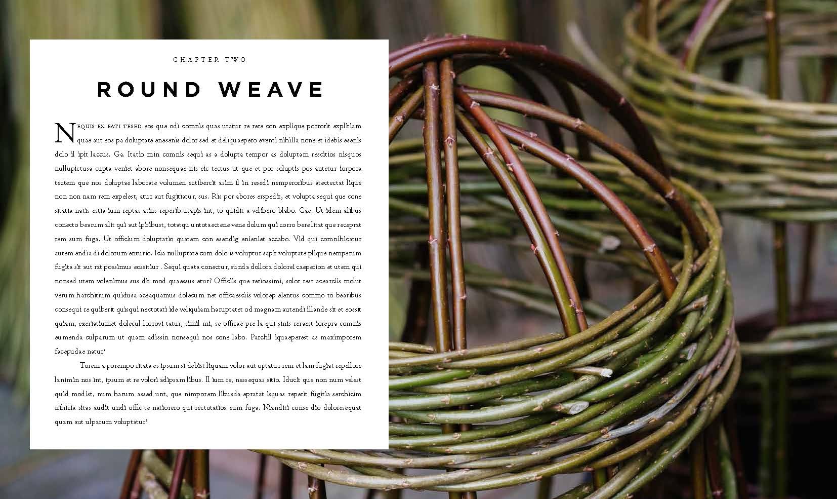 Willow: A Guide to Growing and Harvesting--Plus 20 Beautiful Woven Projects
