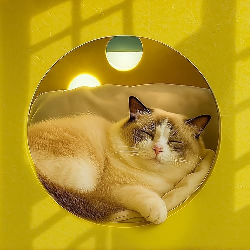 Miniatura 8 de 41 Piezas Juguetes Interactivos para Gatos de Interior, Juguetes para Gatitos con Bonita Cama Casa para Gatos, Juguetes de Hierba Gatera, Cuerda