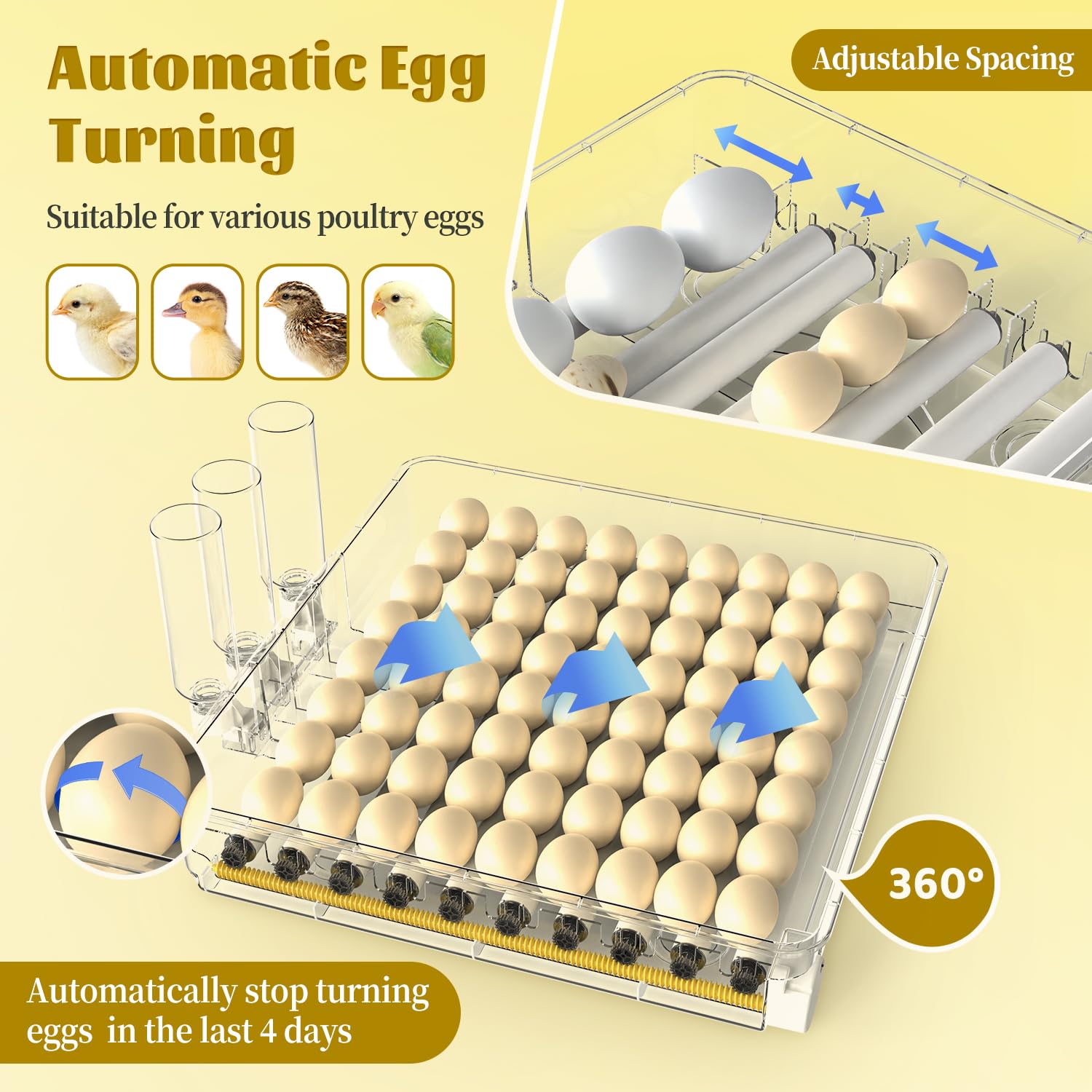 216 Egg Incubator for Hatching Eggs, Fully Automatic Egg Incubator with Auto Temp/Water/Turning, for Chicken Duck Goose Quail Pigeon Turtle Eggs, Humidity Control by Bottles, 360° View Clear Window