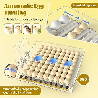 288 Egg Incubator for Hatching Eggs, Fully Automatic Egg Incubator with Auto Temp/Water/Turning, for Chicken Duck Goose Quail Pigeon Turtle Eggs, Humidity Control by Bottles, 362 View Clear Window