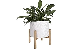 LA Jolie Muse: 8-Inch White Planter with Stand