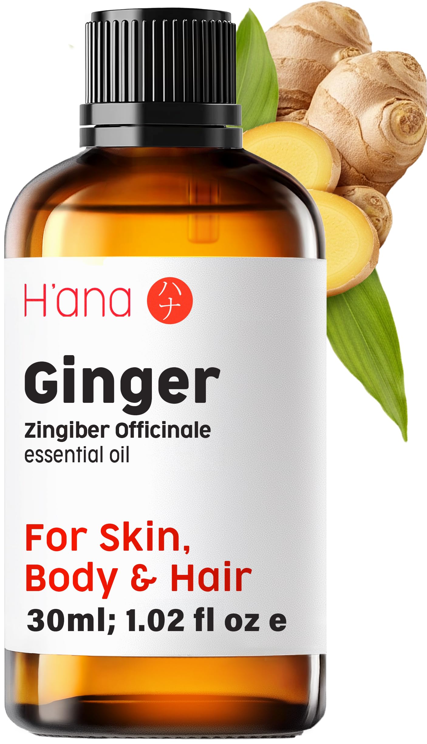 H'ana Ginger Essential Oil - 1.02 Fl Oz - for Hair, Skin, Diffuser, Aromatherapy, DIY Candle & Soap MakingClimatePartner certified