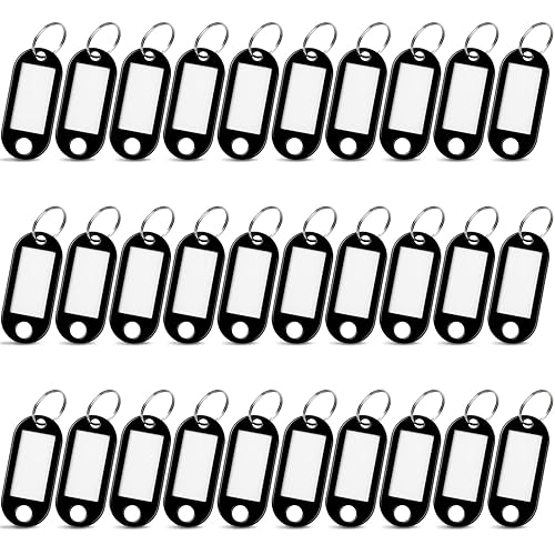 30 Pcs Plastic Key Tags with Labels, Key Labels with