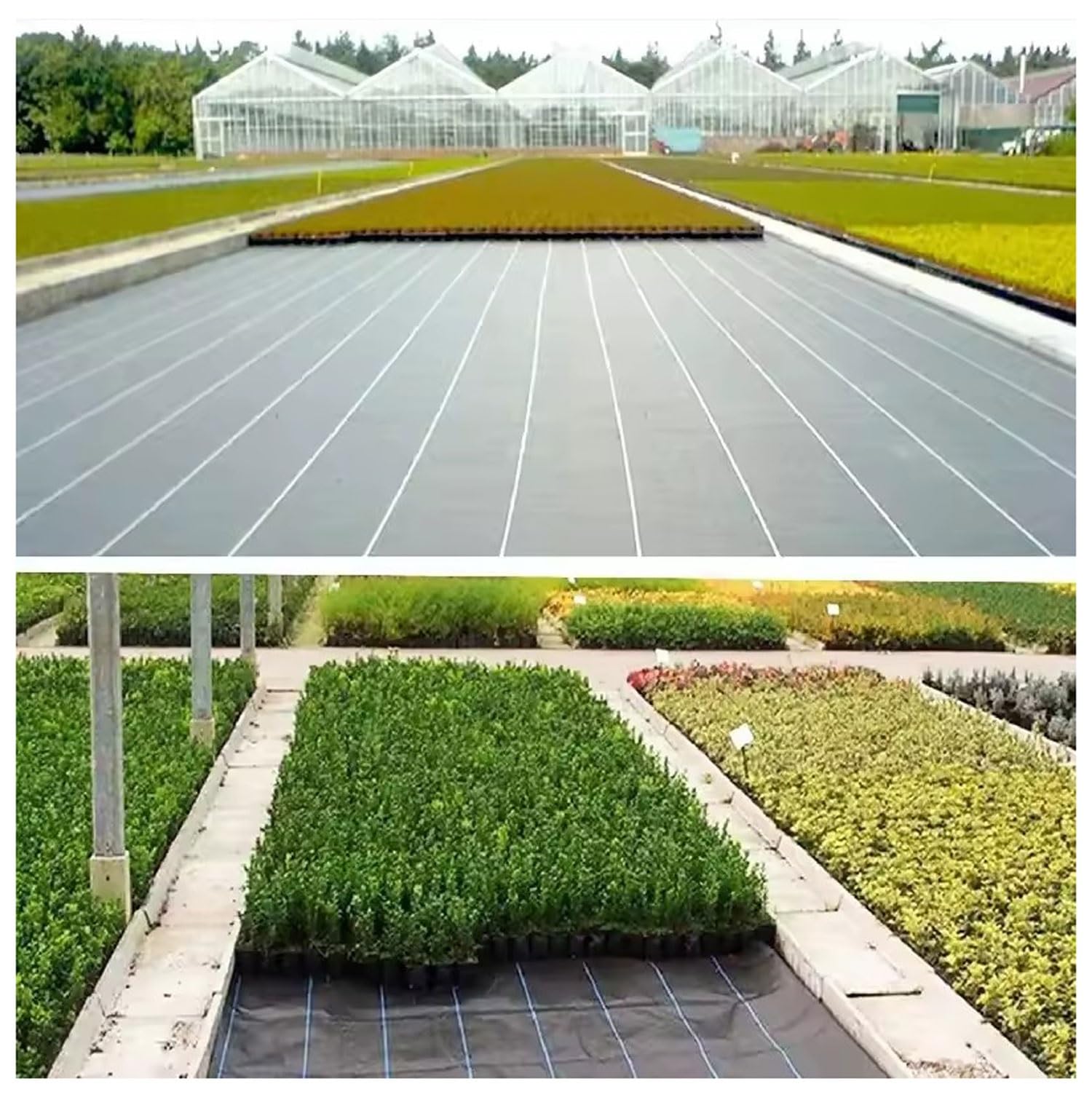 DIWAL Tela Geotextil De Control De Malas Hierbas, Malla Antihierbas para Jardín, Cubierta De Suelo Resistente para Caminos, Terraza, Grava, Parterres, Duradera Y Fácil De Usar(1m x 100m)