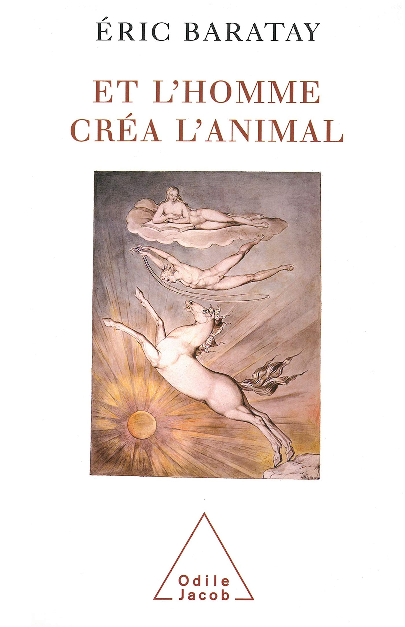 Et l'homme créa l'animal: Histoire d'une condition (French Edition)