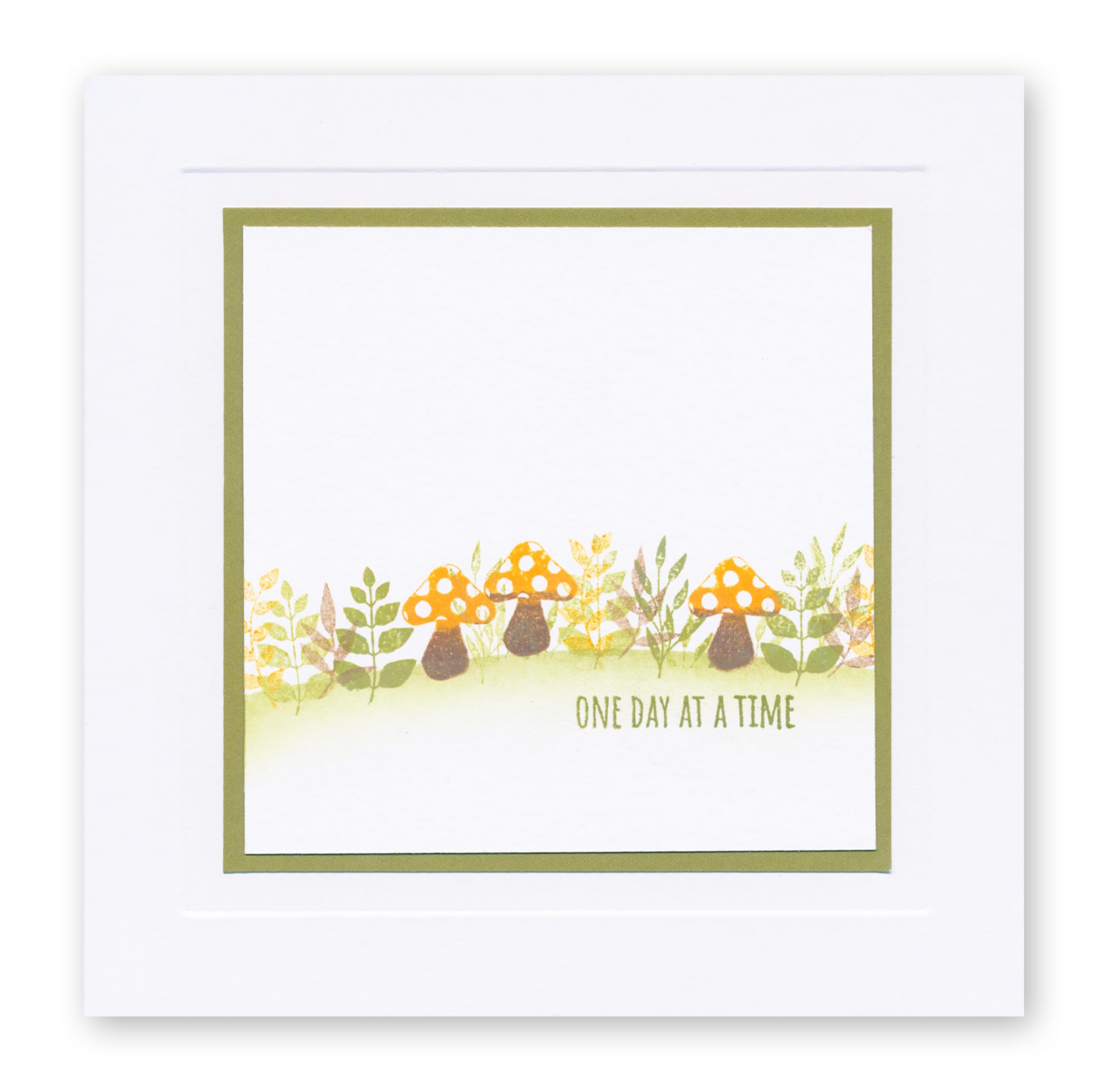 Clarity Stamps - Set di 4 timbri trasparenti A6 con 140 francobolli in totale, 4 penne per timbri e scatola