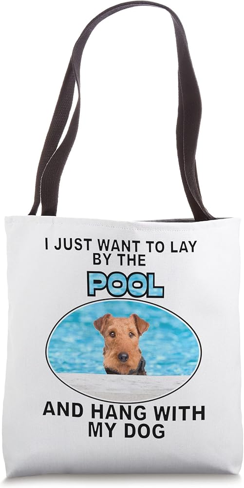 Why Does My Dog Like To Sleep On My Shoes