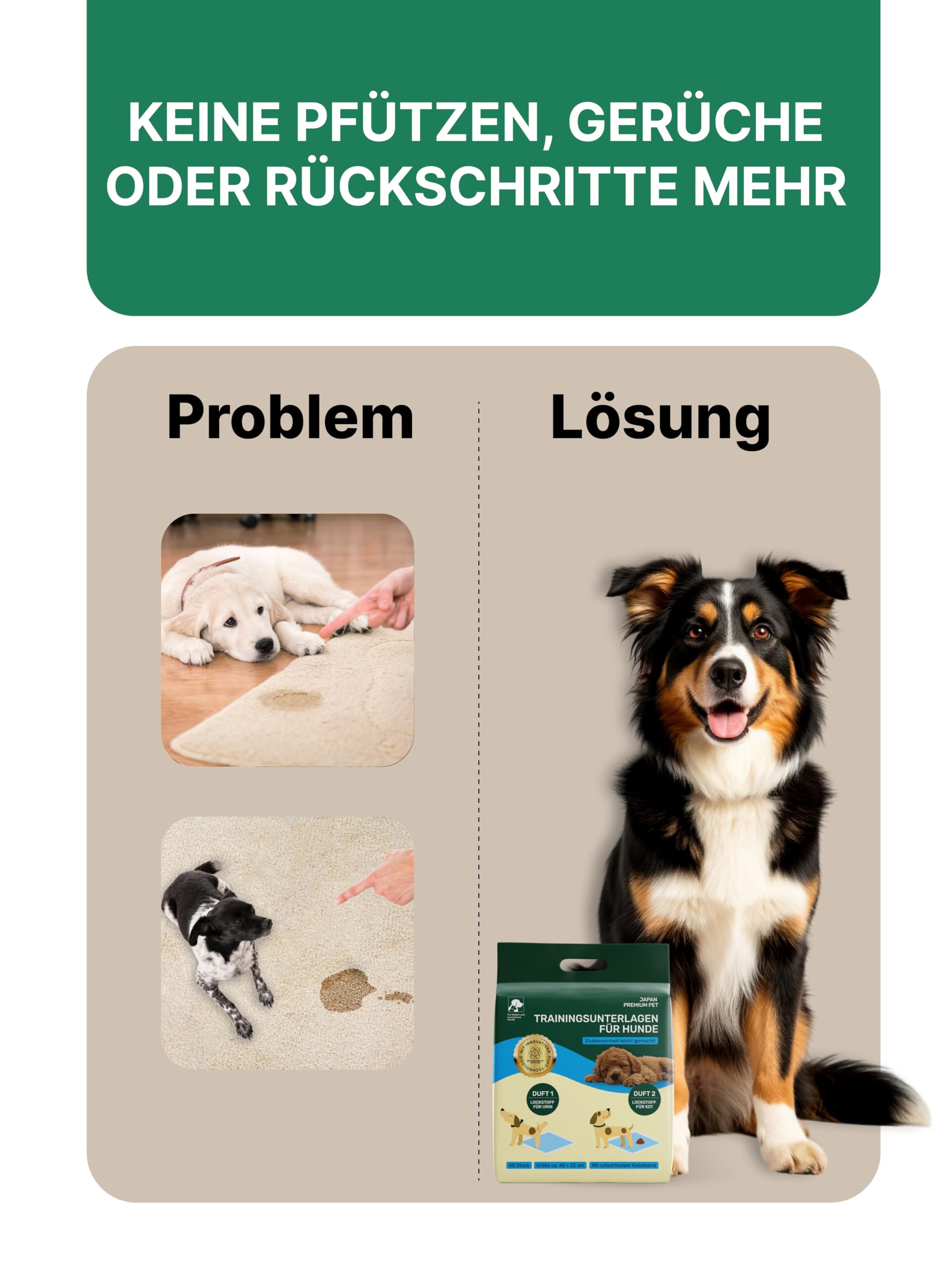 Hundetoilette Trainingspads | Hochsaugfähige Pipi Matten für Hunde | 2-Polymer-Technologie | Geruchsneutralisierend & Rutschfest Welpen Unterlagen | Antibakteriell Puppy Pads | 48Stk