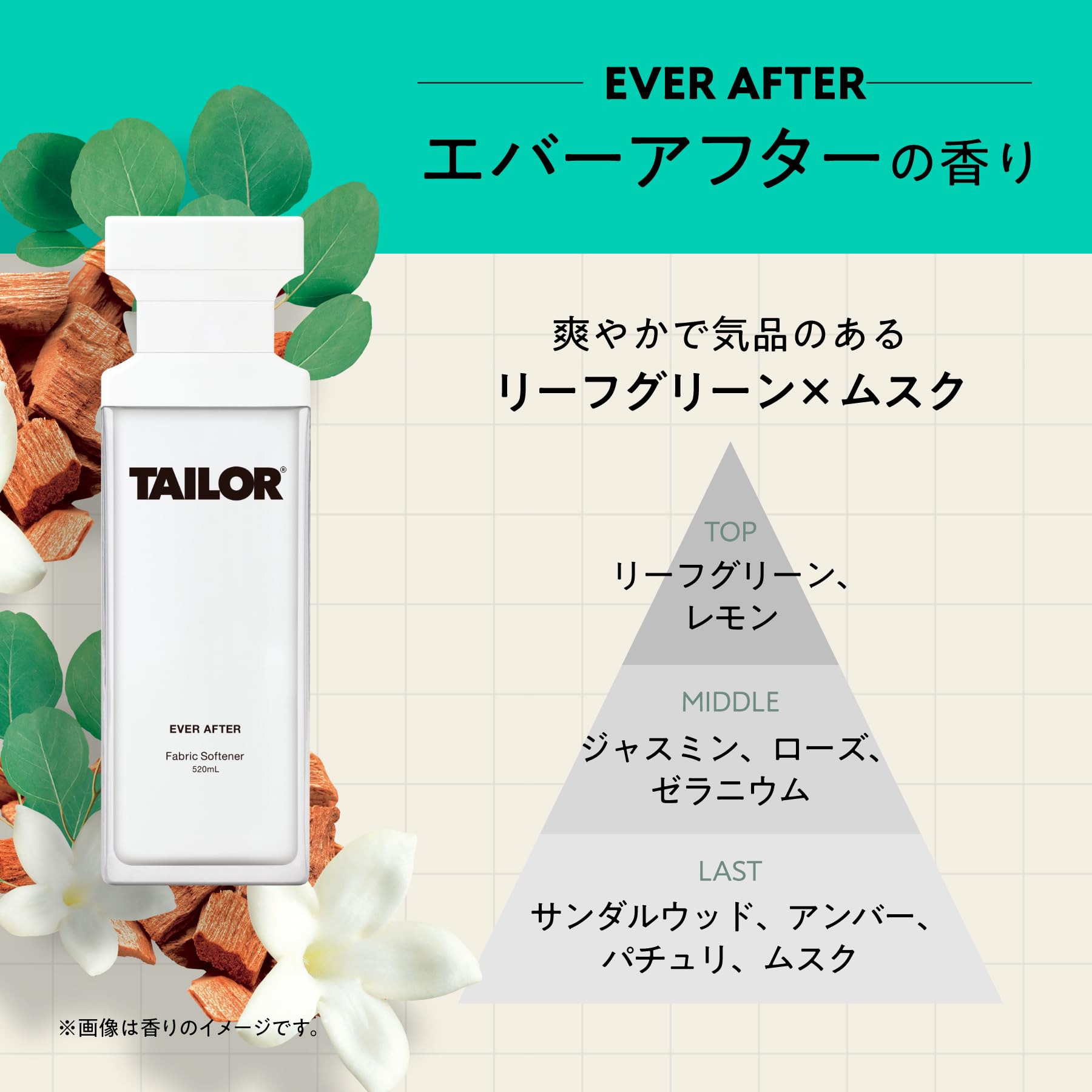 Amazon | 【公式】TAILOR テイラー 柔軟剤本体3本セット（エバー 