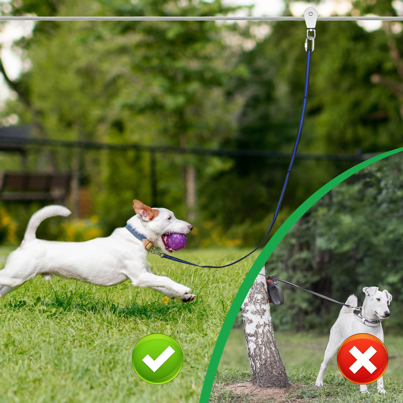 XiaZ Hundeleinenkabel, 22,9 m, Laufseil für Hunde bis zu 113,4 kg, Hundeleine für Hof, Camping, Outdoor, mit 2,4 m Nylon-Bungee-Läufer, Kabelschlinge zum Schutz von Bäumen