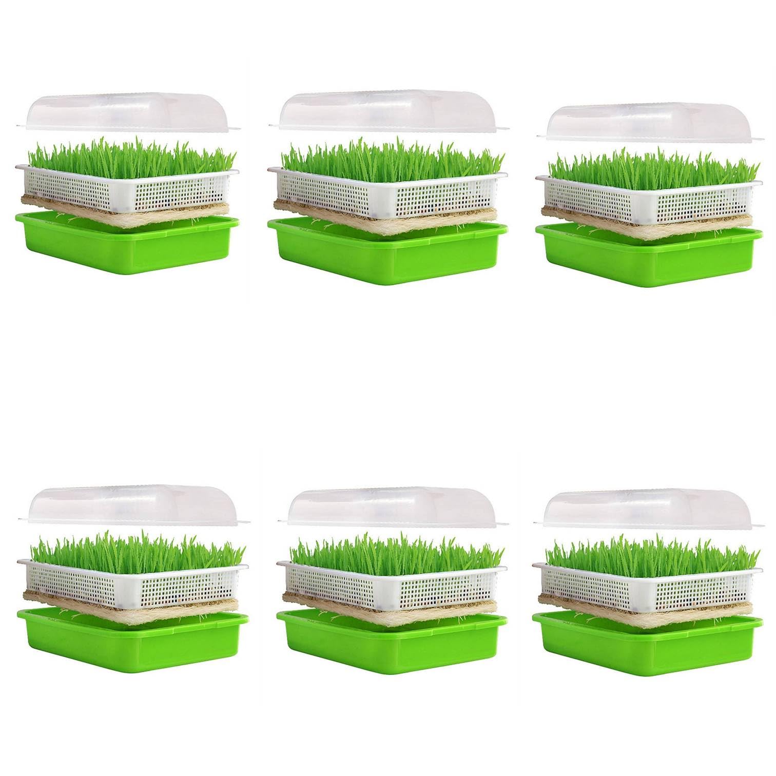 IcyFlame BPA Free Soil Less Seed Germination Tray with Lid and Drain Hole, Early Seedling Tray with Cover, Seed Sprouting Tray for Home, Nursery Tray (Green) (Pack of 6PCs)