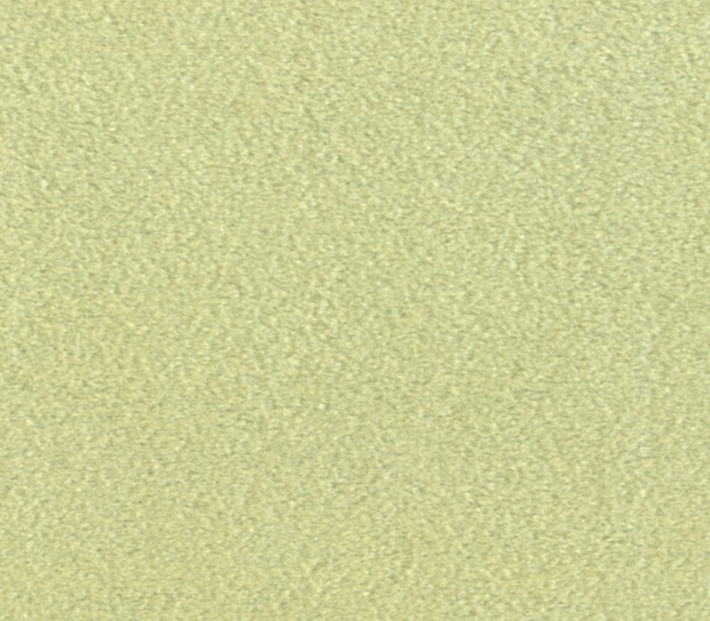 Fabric Empire Minky Solid