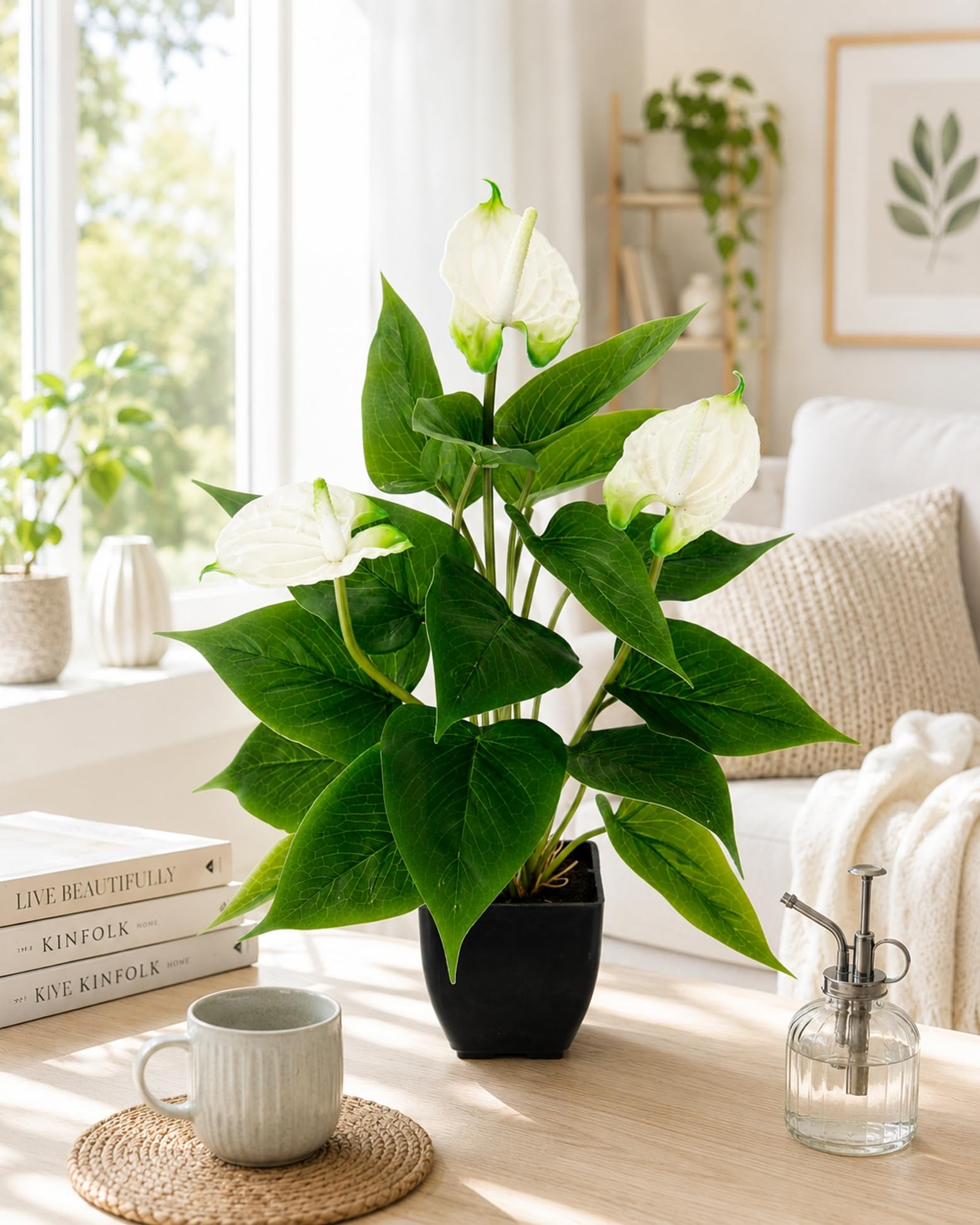 monstera thai constellation ableger Monstera Thai Constellation Extra Large 8