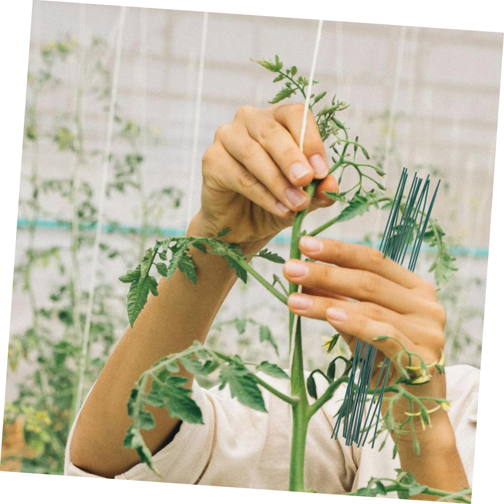 ibasenice 3 Sätze Pflanzenbindedraht Verzinktem Flexible Und Robuste Kabelbinder Für Gartenarbeiten Wiederverwendbare Drahtbinder Für Pflanzen Und Kabelorganisation 1000 Stück * 3