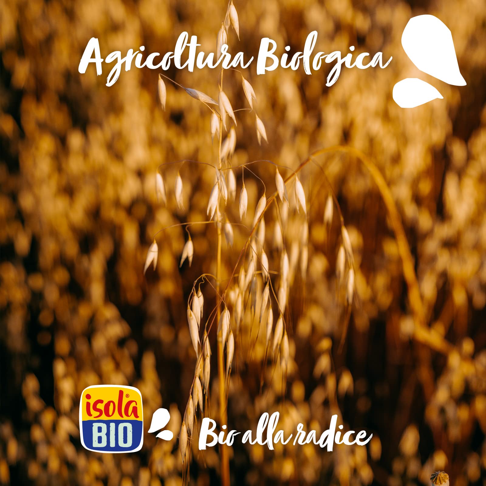 Isola Bio Granola Crunchy Biologica Frutti di Bosco, Tostata al Forno, Cereali da Colazione con Lamponi, Mirtilli e Fragole, 100% Ingredienti Naturali, per Vegani e Vegetariani, Formato 350gr - 5