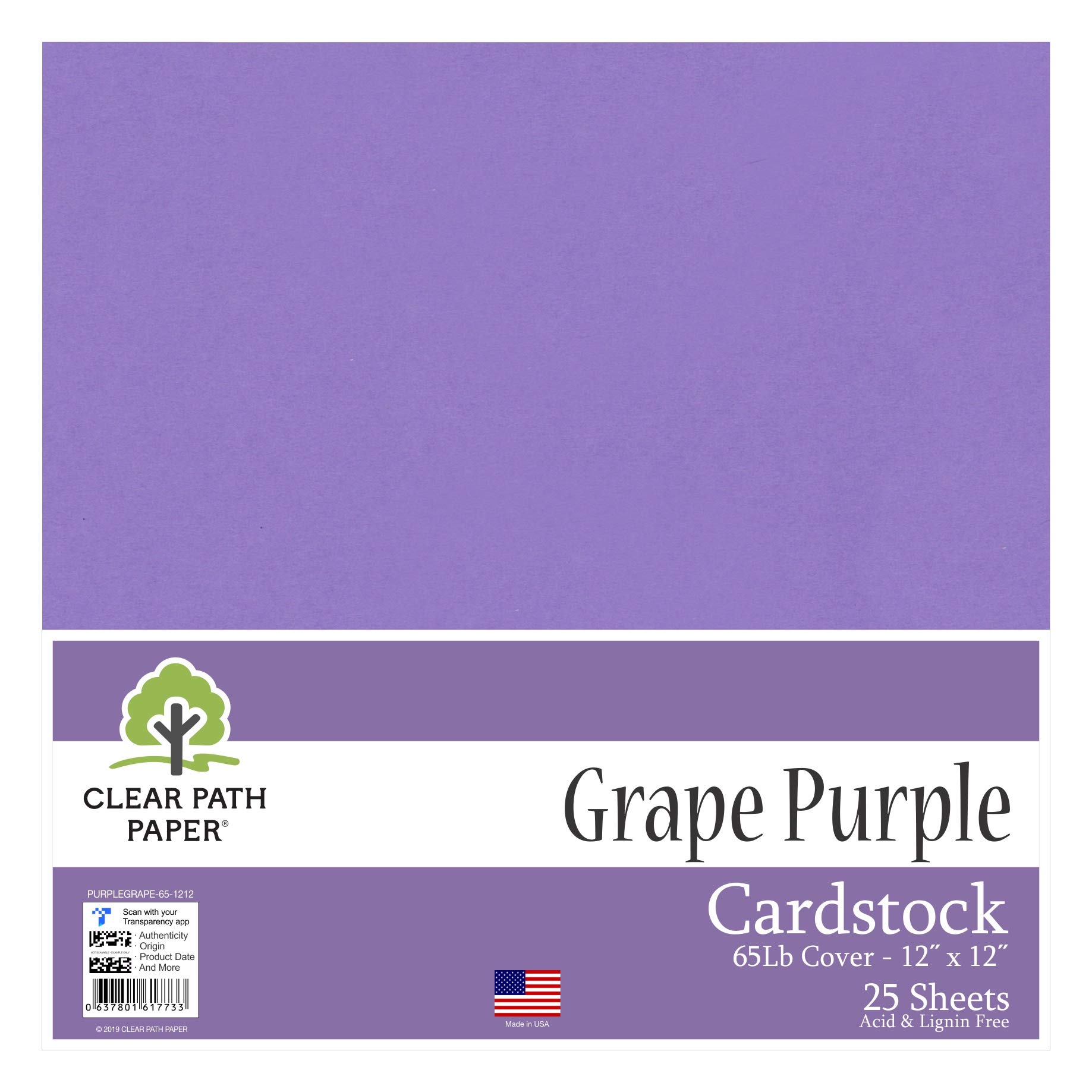 Grape Purple Cardstock - 12 x 12" / 30,5 cm x 30,5 cm - 65Lb Cover / 176gsm - 25 Sheets - Clear Path Paper