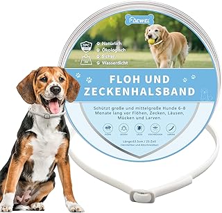 DEWEL Zeckenhalsband für Hunde für kleine, mittlere und große Haustiere - 8 Monate Schutz- 63.5 cm verstellbar für alle Größen - Flohschutz Halsband für Hunde (weiß)