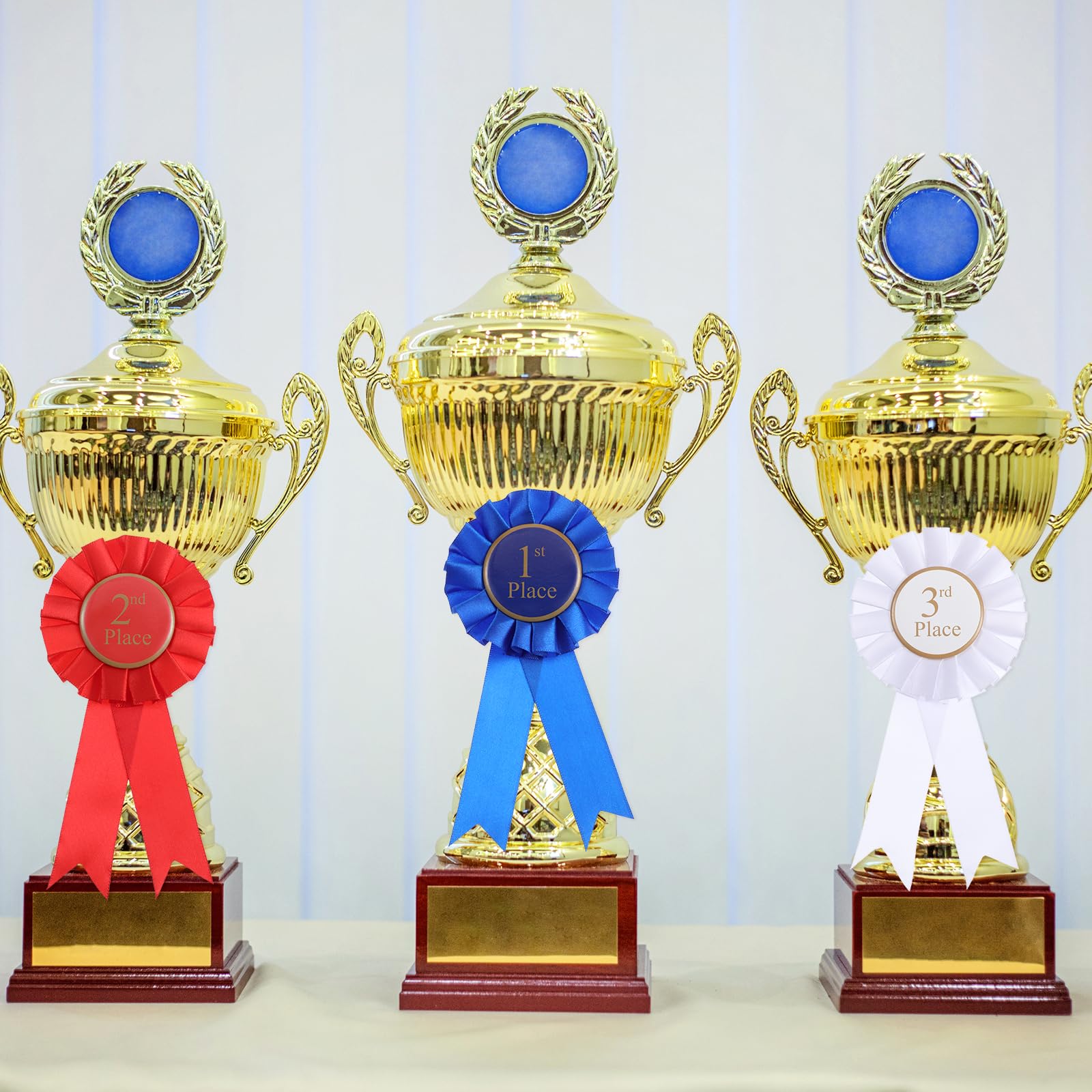 12 Pcs 3 Colors Award Ribbon Satin Participation Ribbon Honorable Ribbon Badge Award Ribbon Rosette Set Classroom Prize Science Fair Talent Show Spel