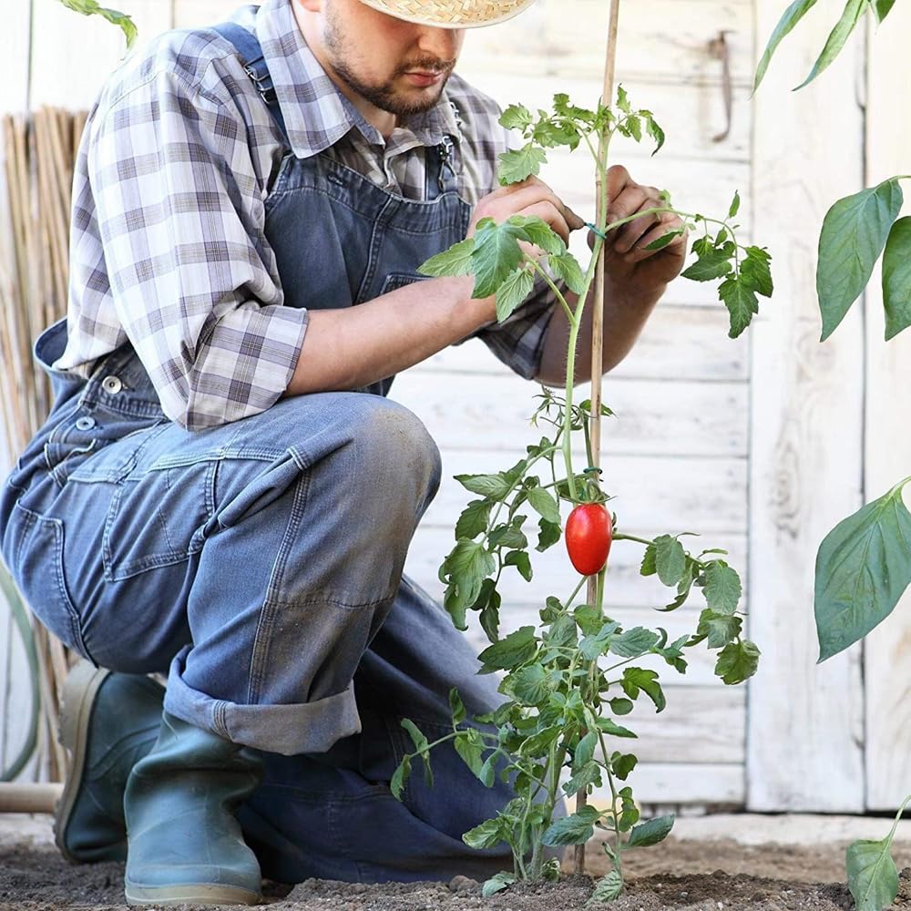 Suinga 500 Stück, Bambusstützen für Pflanzen 90 cm (6-8 mm) – Bambusstäbe, Stützen für Pflanzen, Gemüse, Tomaten, Bambusstäbe