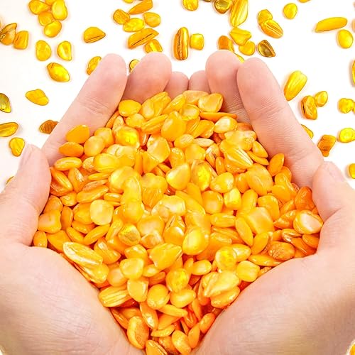 Miniatura 18 de QICQDRAM Conchas trituradas para manualidades de aproximadamente 1 libra (14.29 oz/14.28 onzas), pequeñas conchas naturales trituradas a granel