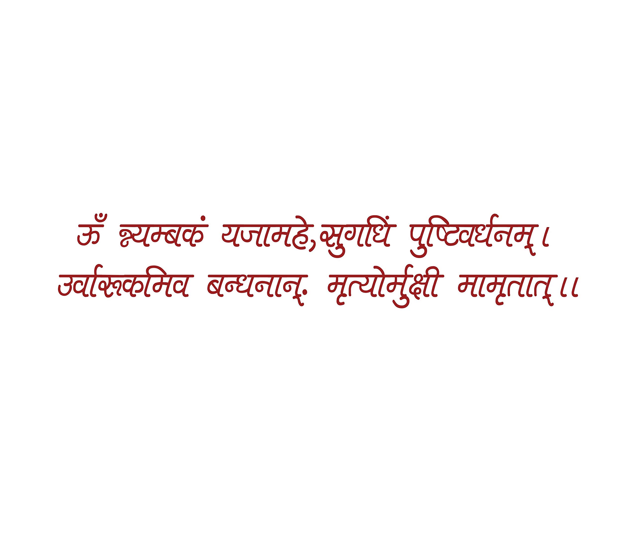 DECOR KAFE Maha Mrityunjay Mantra Vinyl Wall Stickers (92Cm X 109Cm, Multicolour) (B07WTW2D9Z) Amazon Price History, Amazon Price Tracker