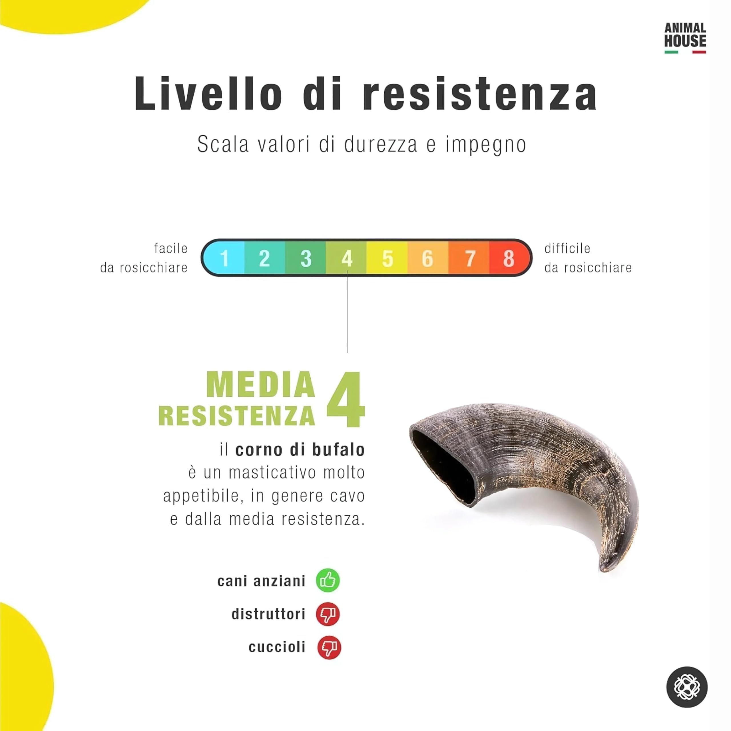 Animal House Corna di Bufalo per Cani, Masticativo Naturale, Igiene Orale, Resistenti, Cruelty Free (1, S)