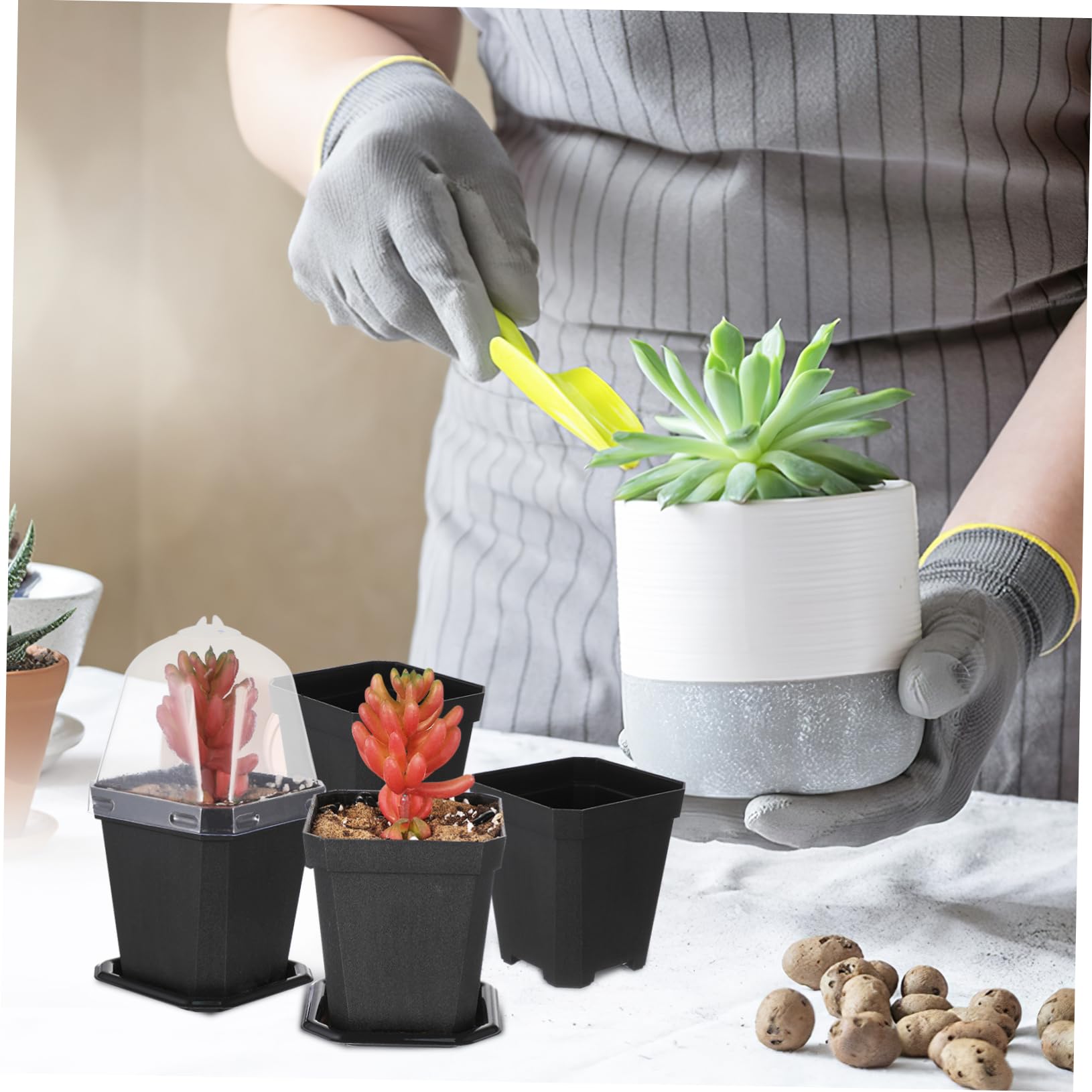 SUPVOX Petit Pot De Fleurs Succulent Semis Plantes Planteur Usine Pots De Jardin Jardinières avec Drainage Et Plateau Pot De Fleurs De Pépinière Pots De Tourbe Plastique 5pcs