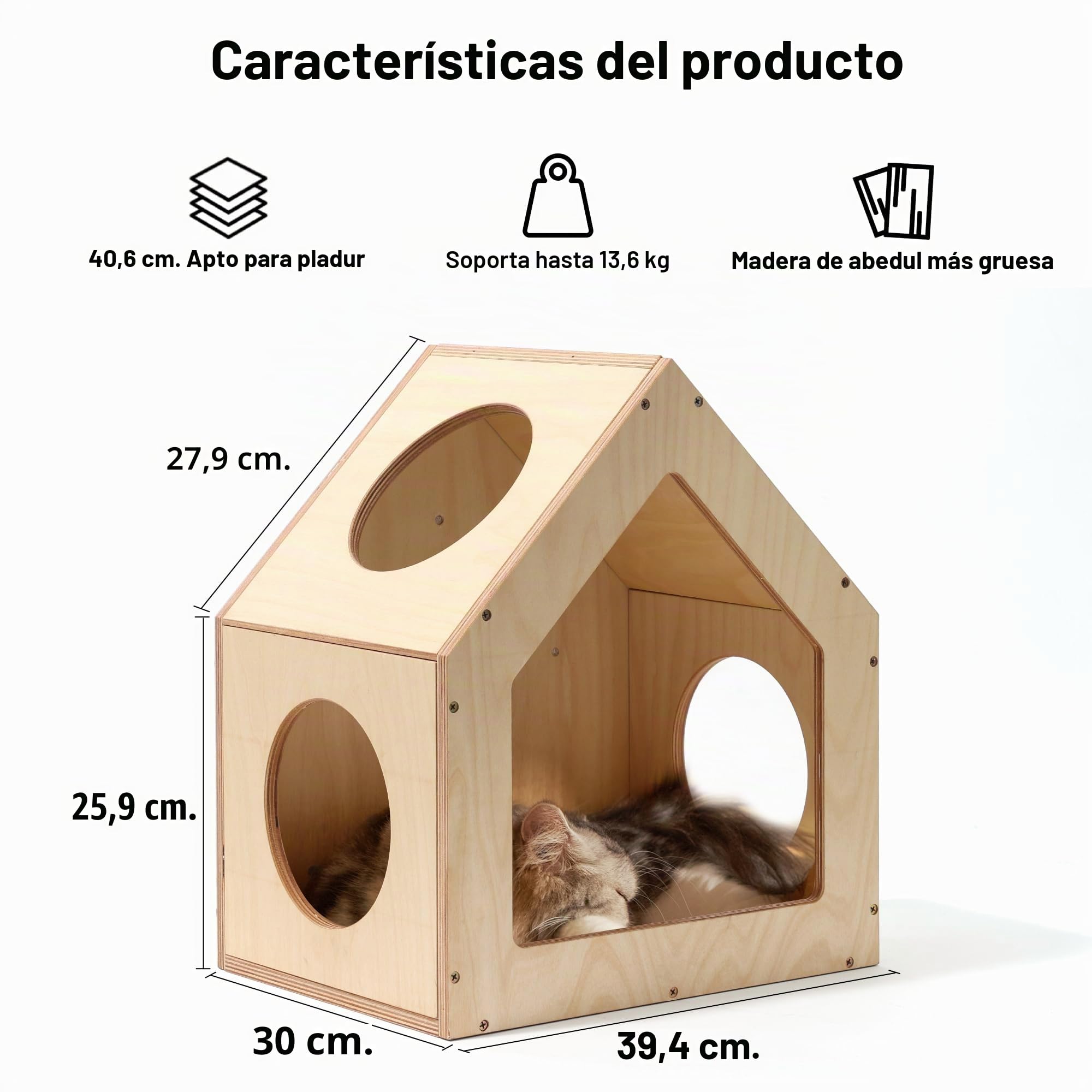 FUKUMARU Cama para Gatos de Pared de Madera de Abedul, 39x30x46 cm, Muebles de Pared Multifuncionales para Gatos, Diseño Elegante, Hazlo Tú Mismo