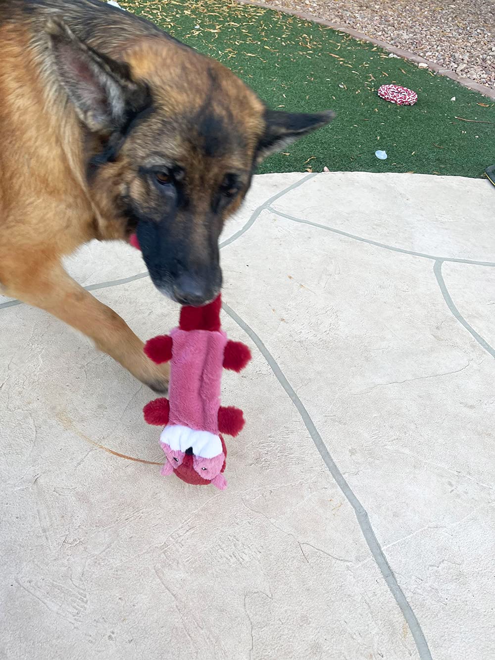 Jalousie Paquete de 5 Juguetes chirriantes para Perros sin Relleno con Forro Duradero, sin Relleno, Juguetes para Perros sin Relleno, Juguete chirriante para Perros medianos y Grandes