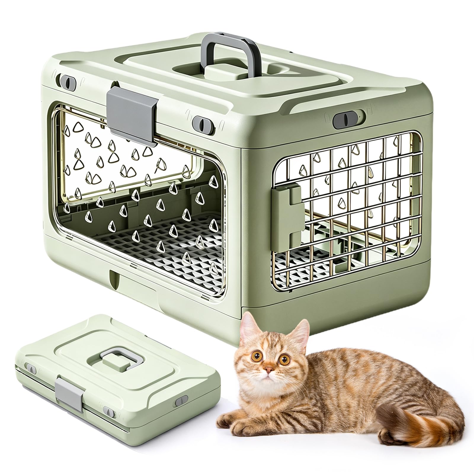 Transportín Gato, Jaula para Gatos Plegable de Plástico Grande Portátil Transportador Transparente para Mascotas de Viaje para Mascotas de Viaje para Avión, 50 x 32 x 31 cm