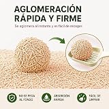 Ver la foto 2