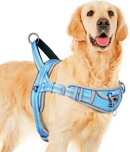 ADVENTUREMORE Arnés para perros pequeños, sin tirones, arnés ajustable reflectante para perro, chaleco para perro, a prueba de escapes, con mango