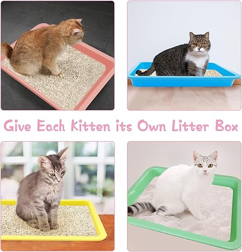 Miniatura 4 de PINVNBY 10 Pcs Small Kitten Litter Box Guinea Pig Litter Pan Mini Open Cat Litter Tray Bunny Litter Box Low Entry Cat Litter Box for Kittens Bunny