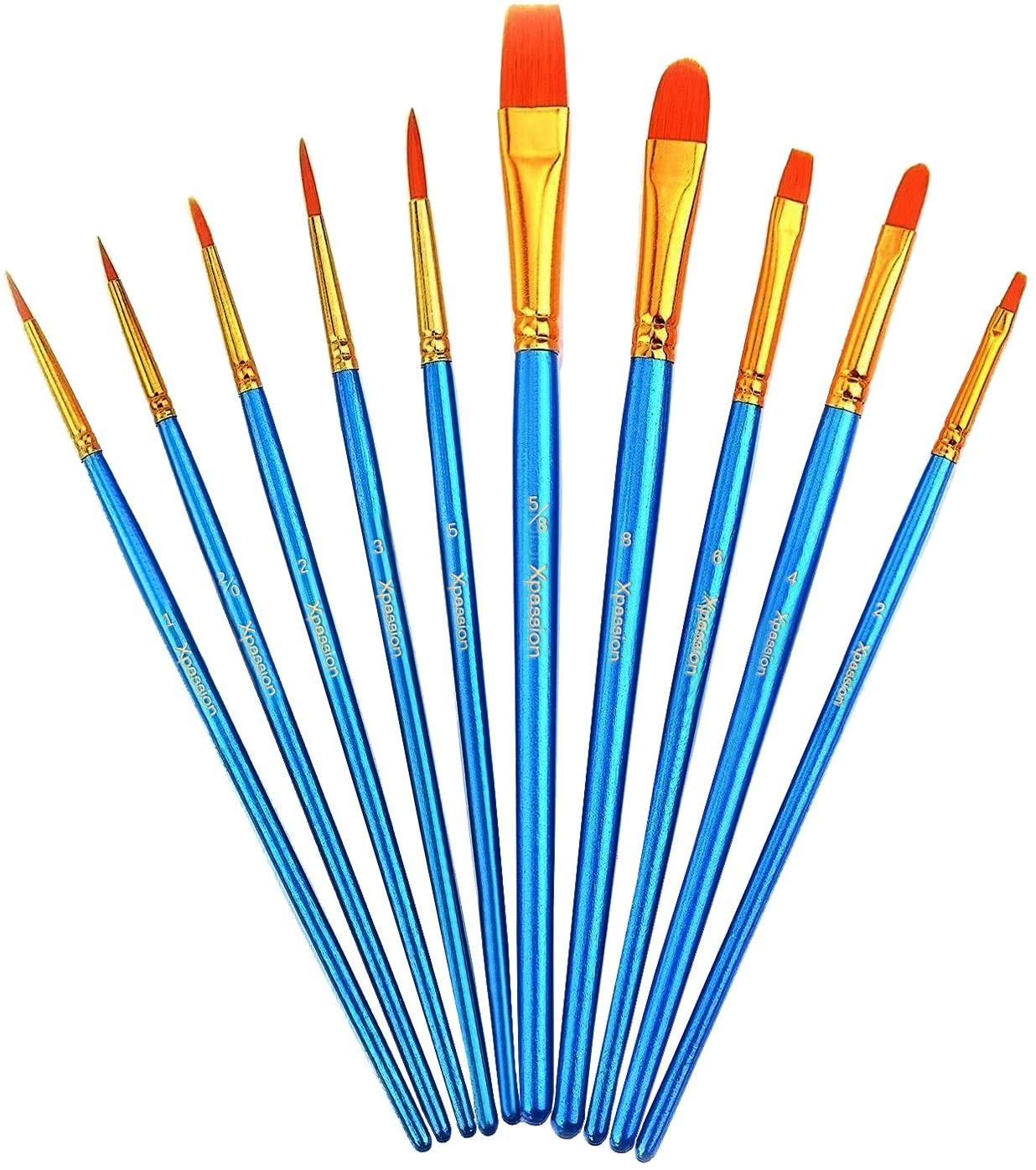 Xpassion Brushes