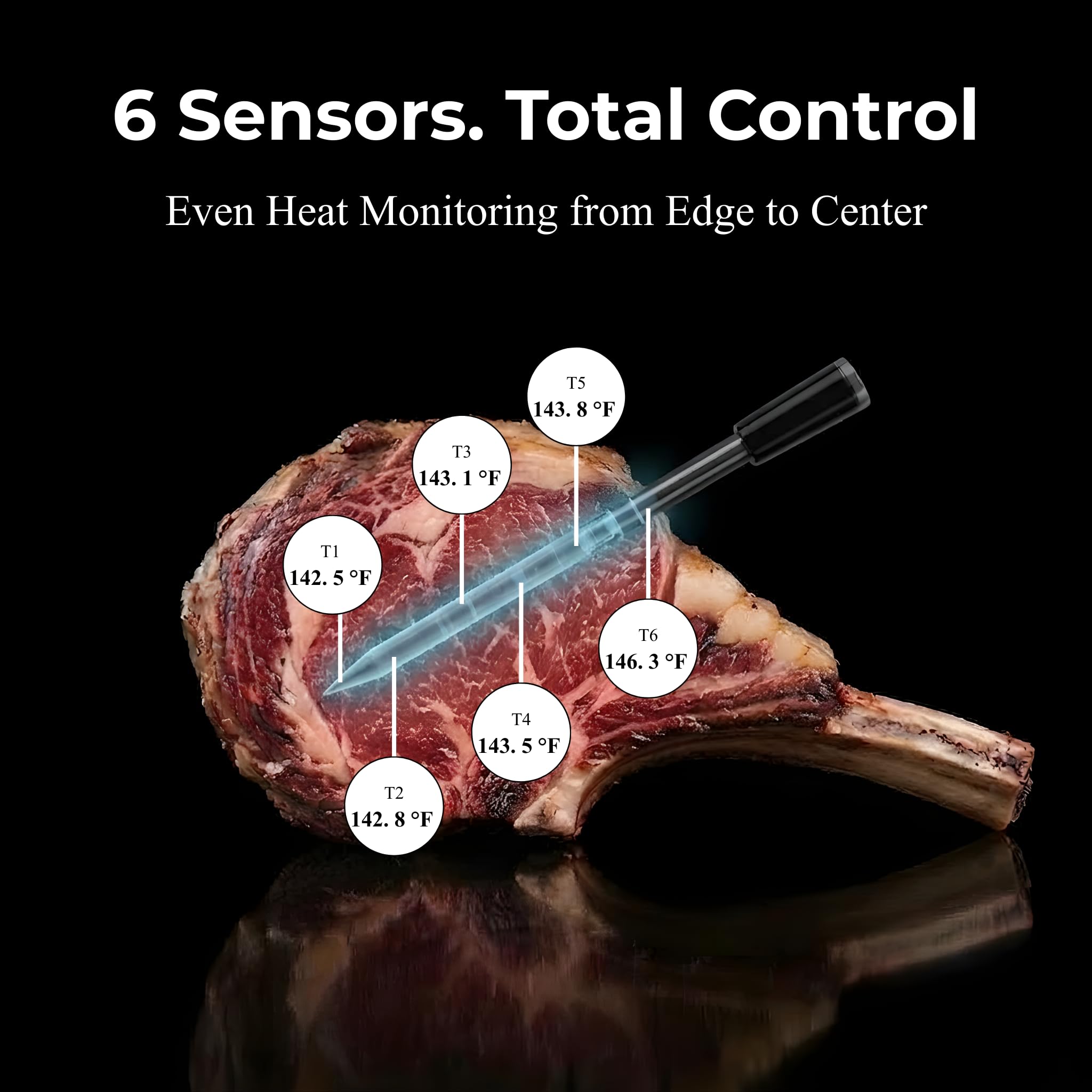 Termometro intelligente wireless per carne con WiFi e Bluetooth, 2 sonde digitali, controllo della temperatura in tempo reale, controllo tramite app, impermeabilità IP67, per barbecue, grill