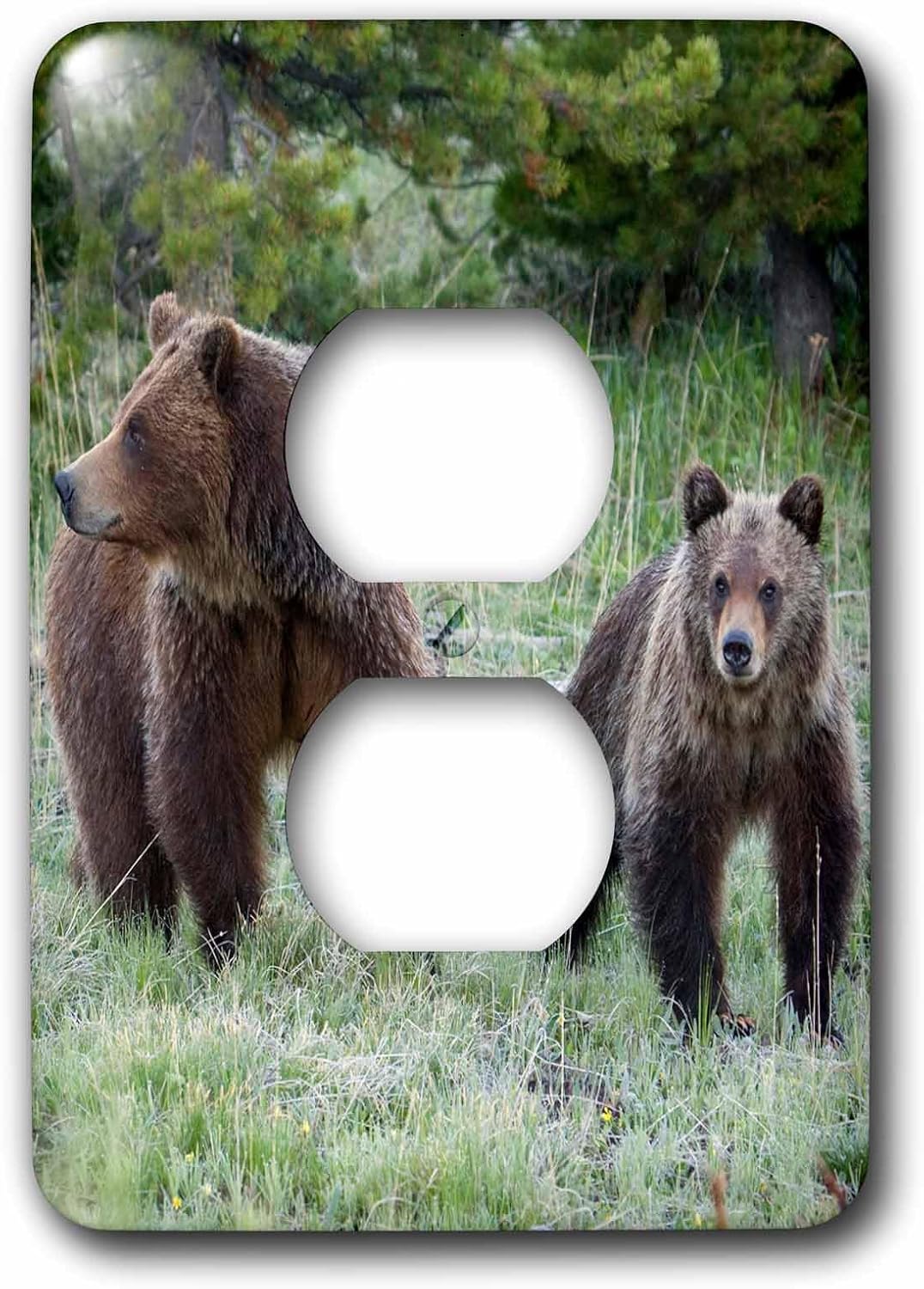 3dRose Grizzly Bear Sow with Cub 2 plug outlet cover