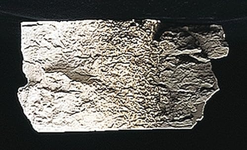 Woodland Scenics Color de la tierra, Umber crudo/4oz