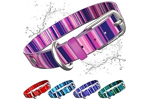 Buckle Dog Collar for Medium Dogs: Pink-M 1"