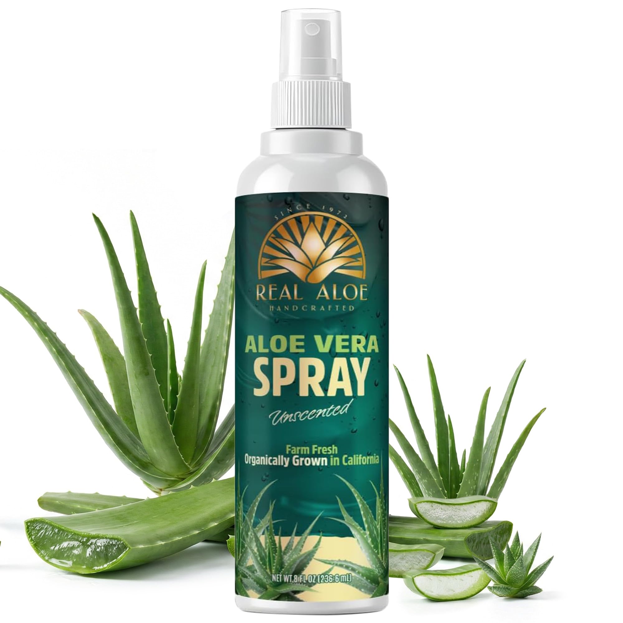 aloe vera skin cleanser 2X] Mild & Moisture ALOE VERA Foam Cleanser (NEW) – Nature Republic USA main image 1