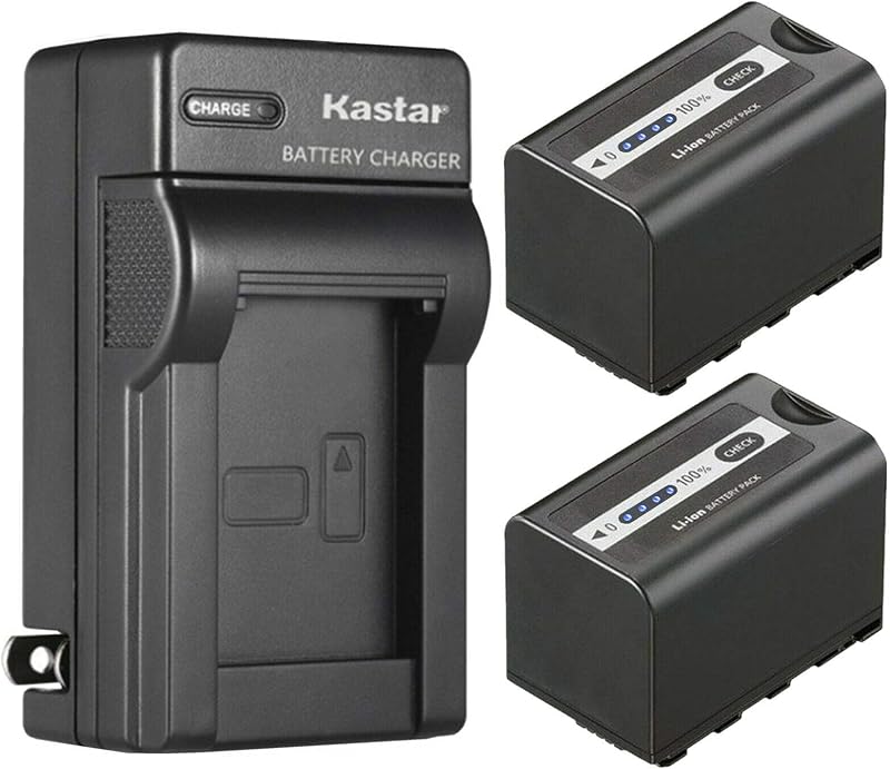 Kastar 2-Pack Battery and AC Wall Charger Replacement for Panasonic Lumix BGH1 Cinema 4K Box Camera, AG-CX10, AG-CX350, AG-DVX200, AG-DVX200PJ, AG-DVX200PB, AG-DVX200PX, AG-DVX200EJ, AG-DVX200EN