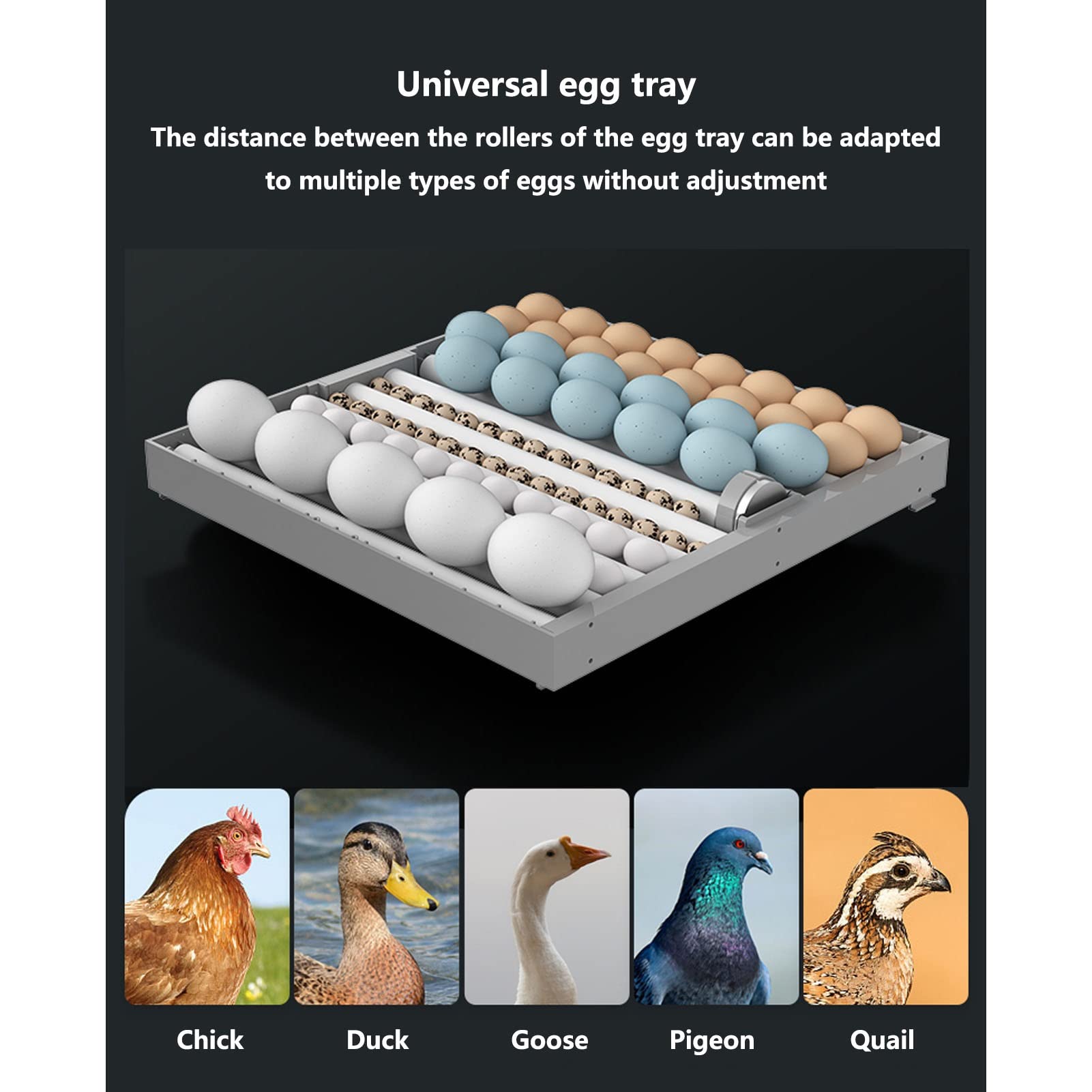 Incubadora digital de huevos para 384 huevos de giro automático, 5 modos de incubación simulan el entorno de incubación original, azul