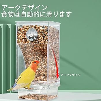 バードフィーダー確認画像＊こちらは購入出来ません Amazon | 鳥 餌入れ 自動 1個入り 透明 鳥 自動給餌器 大容量 インコ