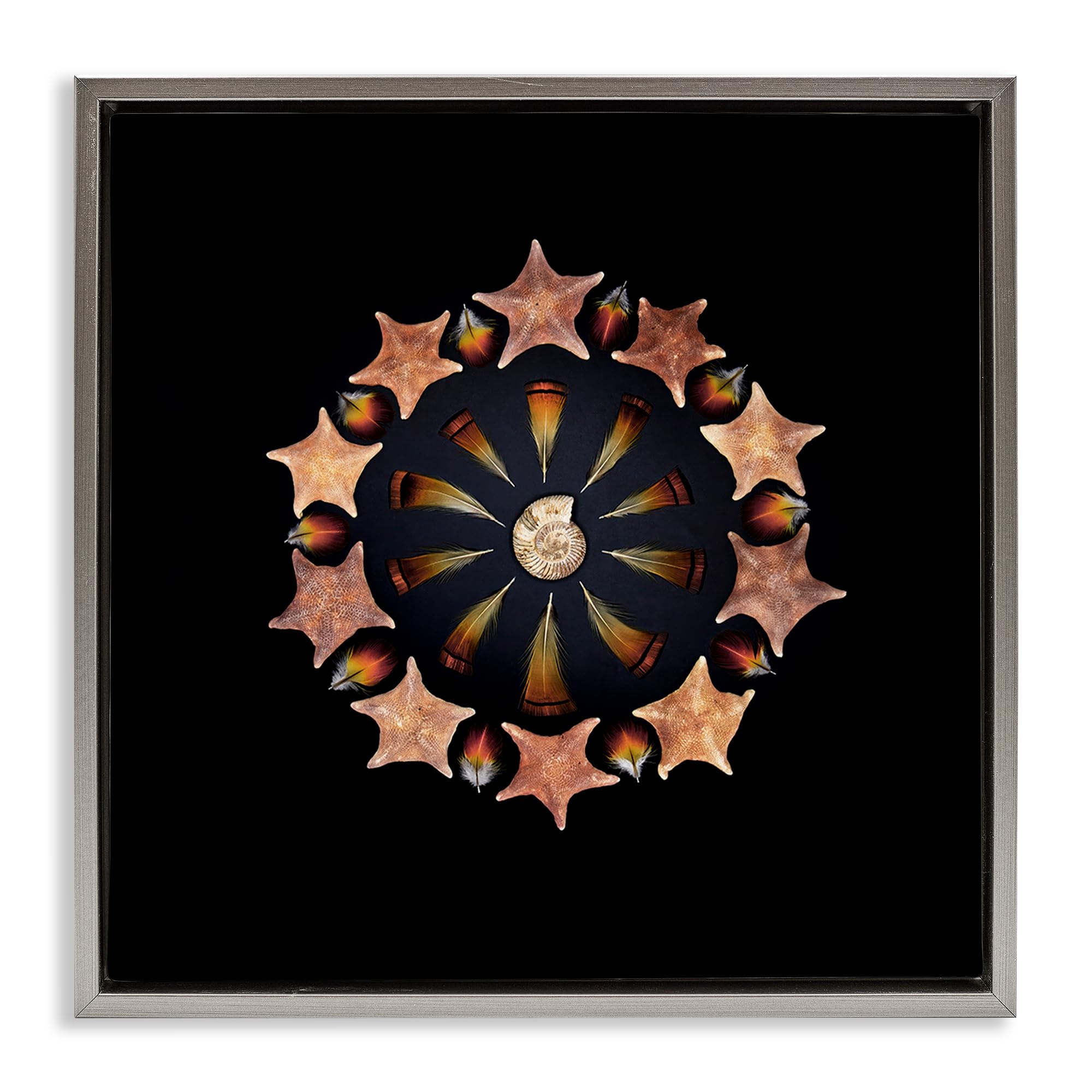 Stupell Industries 'Nautical Nature Arrangement', Floating Frame Canvas Art, Gray, 18 x 18 Inches, Easy to Hang and Sturdy, Made in USA, by Beth Adoette